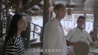 浴血大青山在线观看,烽火岁月里的英雄赞歌